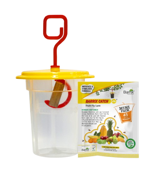 Barrix Catch Fruit Fly Lure + Trap Mini by Barrix