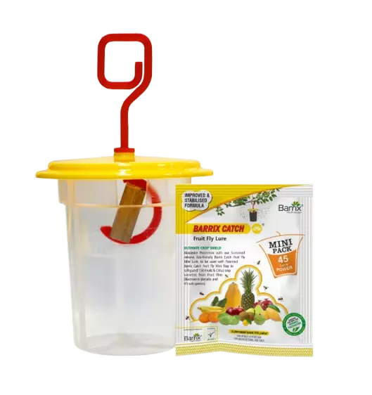Barrix Catch Fruit Fly Lure + Trap Mini by Barrix