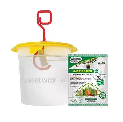 Barrix Catch Vegetable Fly Lure + Trap