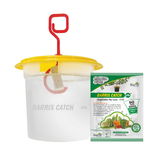 Barrix Catch Vegetable Fly Lure + Trap