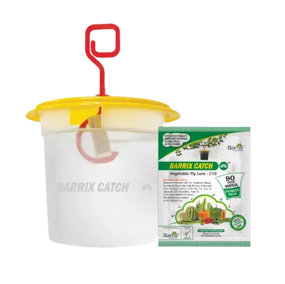 Barrix Catch Vegetable Fly Lure + Trap
