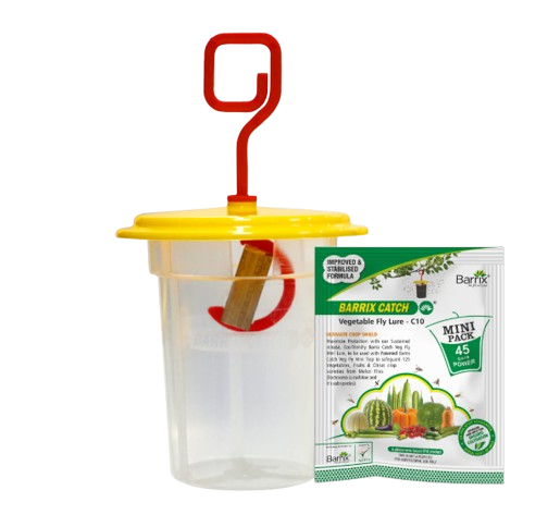 Barrix Catch Vegetable Fly Lure + Trap Mini