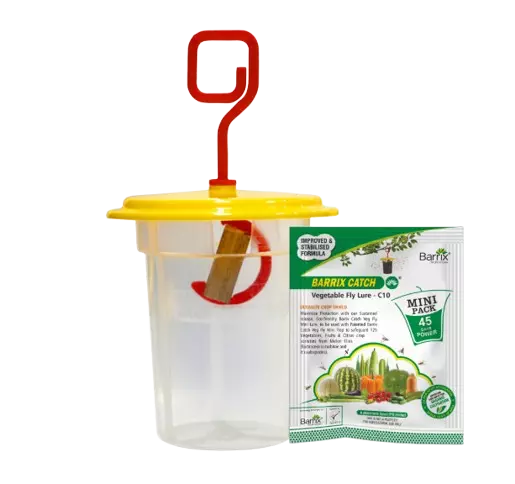 Barrix Catch Vegetable Fly Lure + Trap Mini