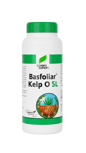 Basfoliar Kelp O SL by Dhanashree Crop Solutions