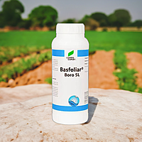Basfoliar Boro by Dhanashree Crop Solutions