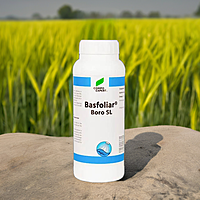 Basfoliar Boro by Dhanashree Crop Solutions