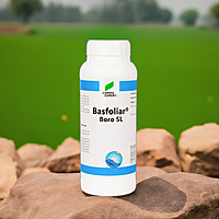 Basfoliar Boro by Dhanashree Crop Solutions
