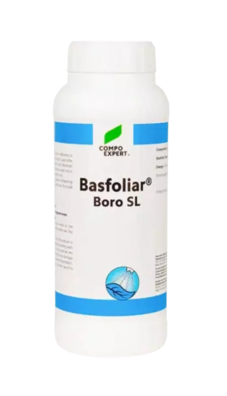 Basfoliar Boro by Dhanashree Crop Solutions