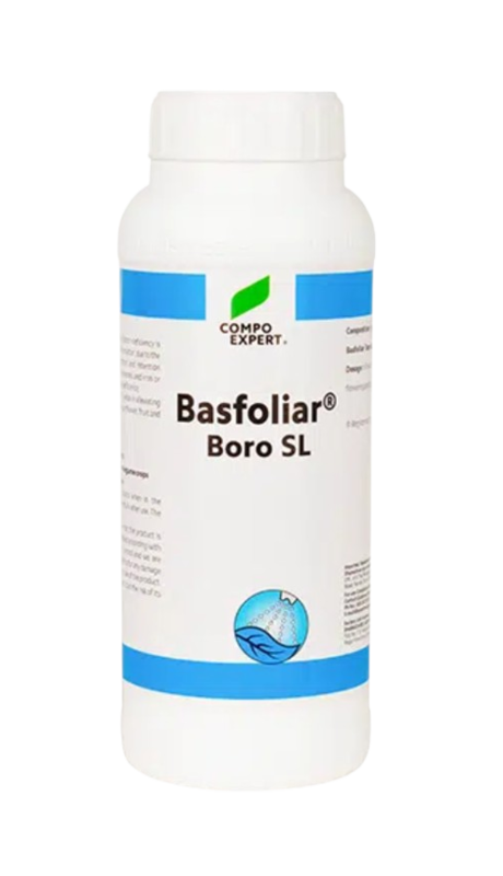 Basfoliar Boro by Dhanashree Crop Solutions