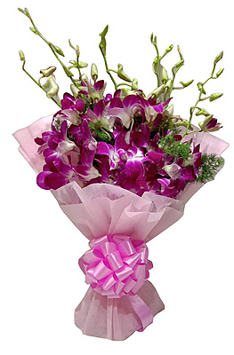 Battipaglia Orchids