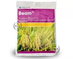 Beam Fungicide