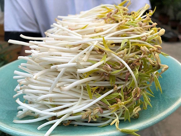 Organic Bean Sprouts 30 Gms