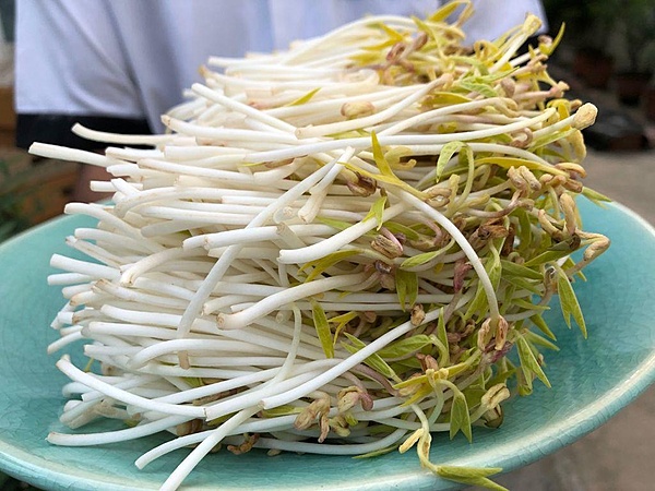 Organic Bean Sprouts 30 Gms