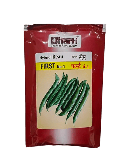 Beans First by Dharti Seeds