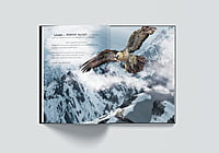 The Lost Snow Leopard