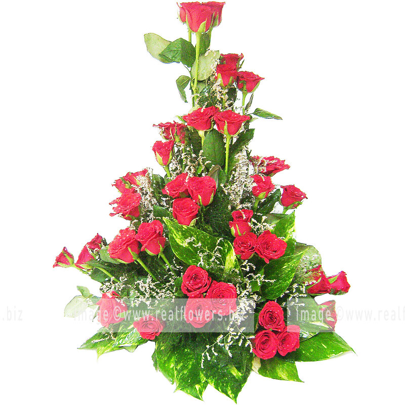 Beautiful Red Roses