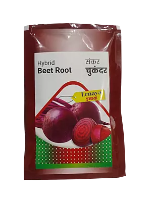 Hybrid Beet Root Eenaya by Dharti Seeds
