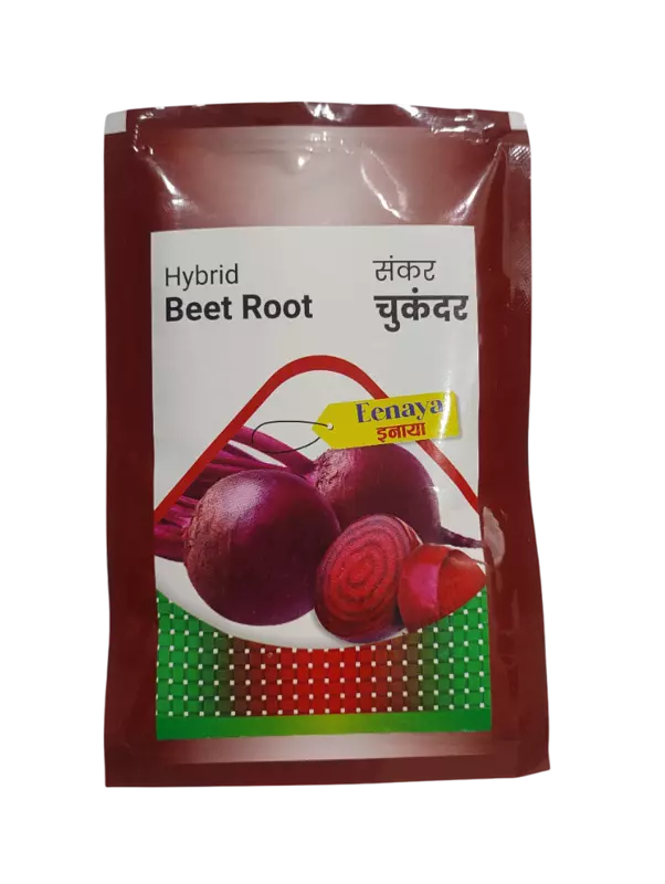 Hybrid Beet Root Eenaya by Dharti Seeds