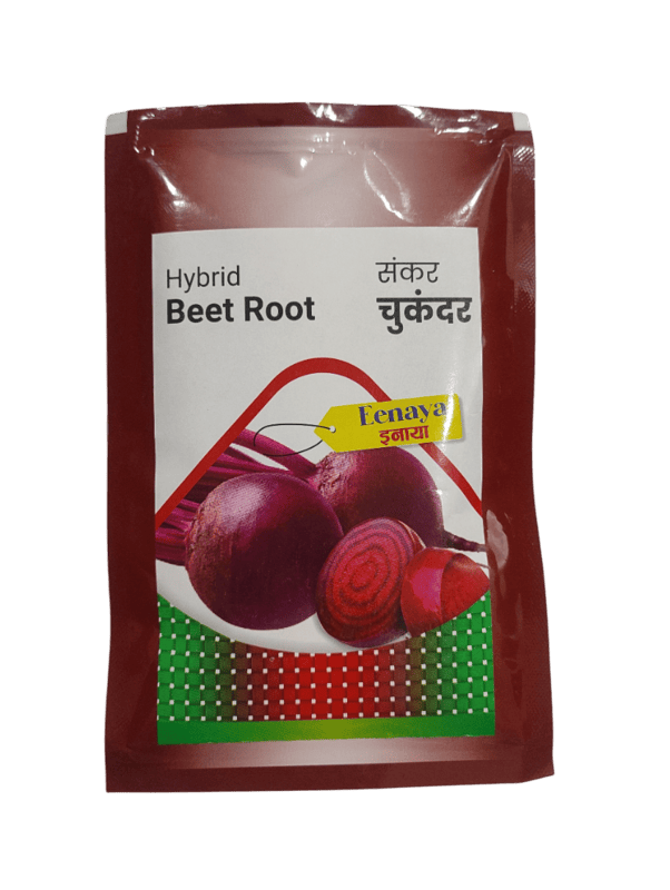 Hybrid Beet Root Eenaya by Dharti Seeds
