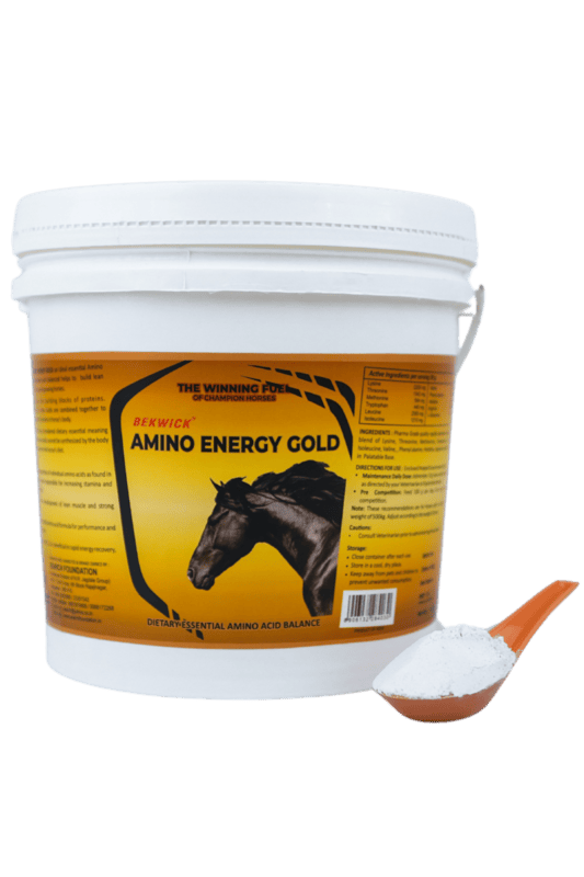 Bekwick Amino Energy Gold