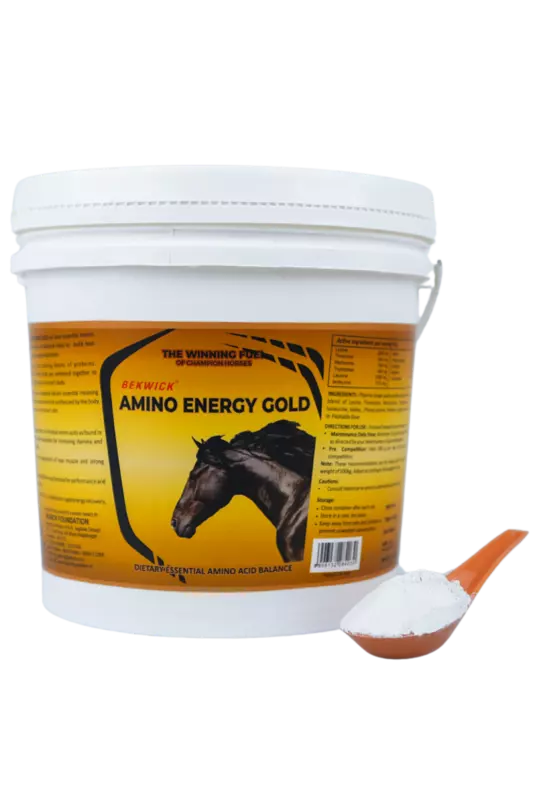 Bekwick Amino Energy Gold