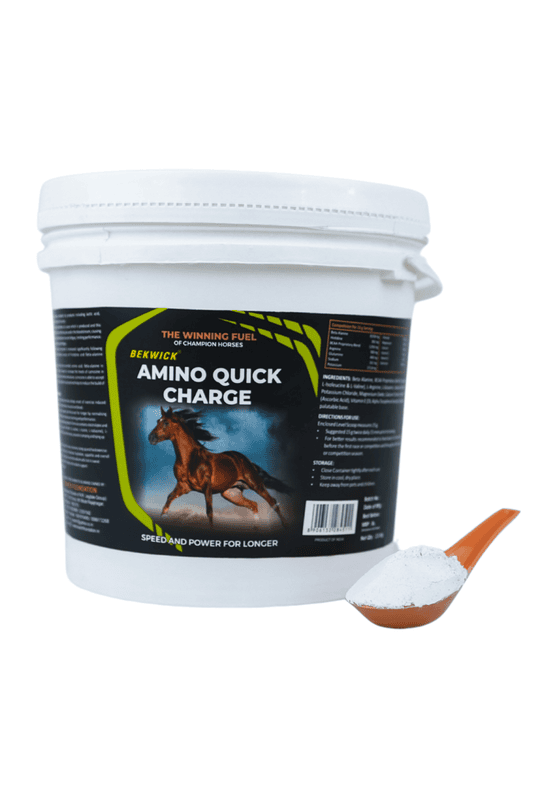 Bekwick Amino Quick Charge