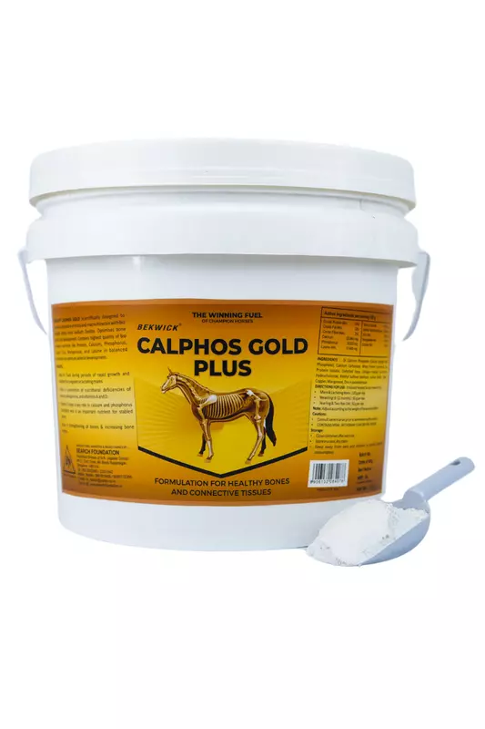 Bekwick Calphos Gold