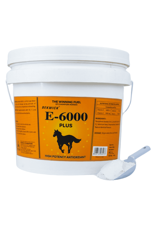 Bekwick E 6000 - 10kg