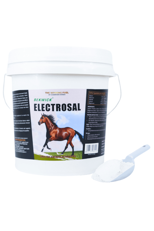 Bekwick Electrosal - 5Kg