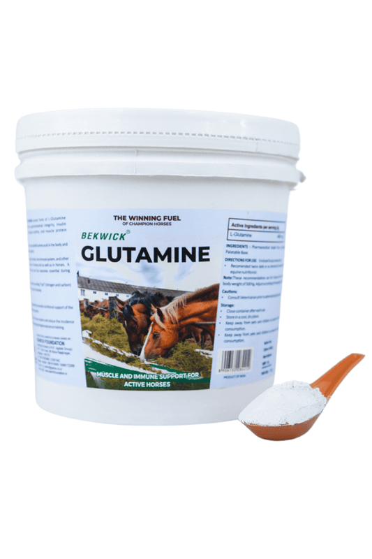 Bekwick Glutamine - 1Kg