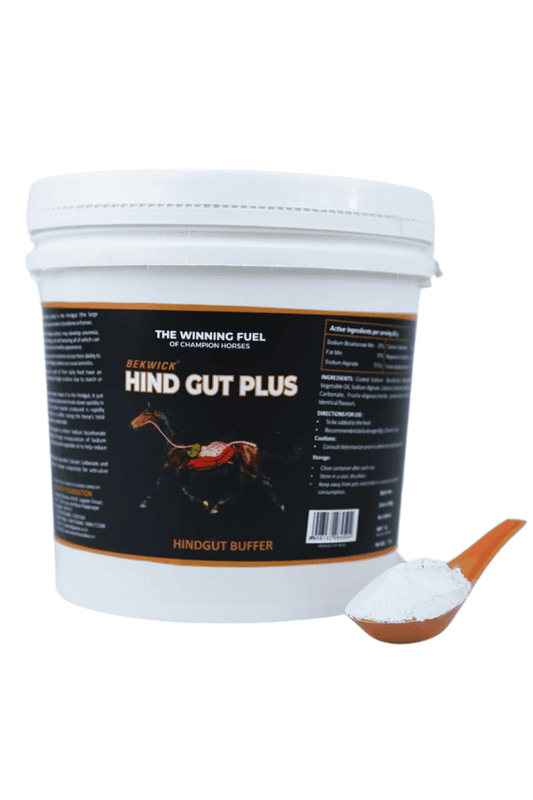Bekwick Hind Gut Plus - 1KG