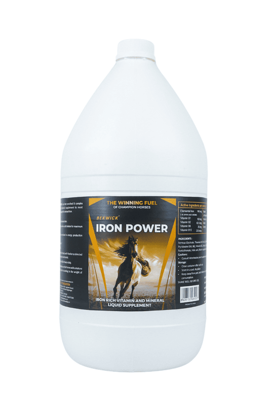 Bekwick Iron Powder - 5Kg