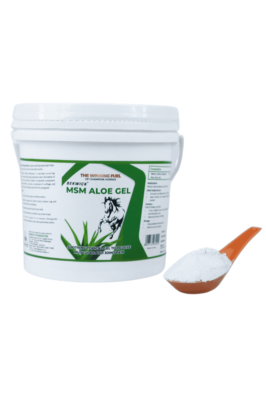 Bekwick MSM Aloe Gel - 1KG