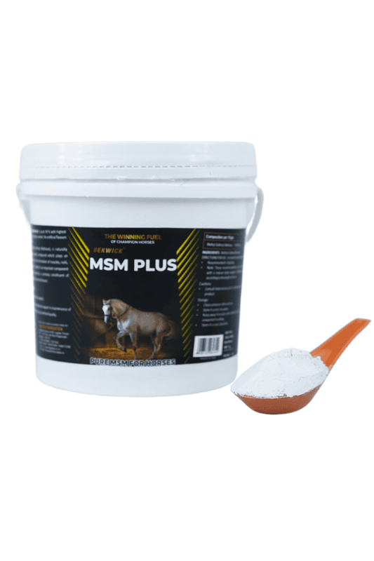 Bekwick MSM Plus - 1Kg