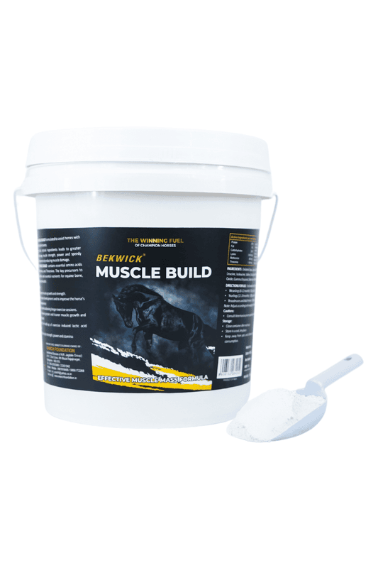 Bekwick Muscle Build Plus - 5Kg