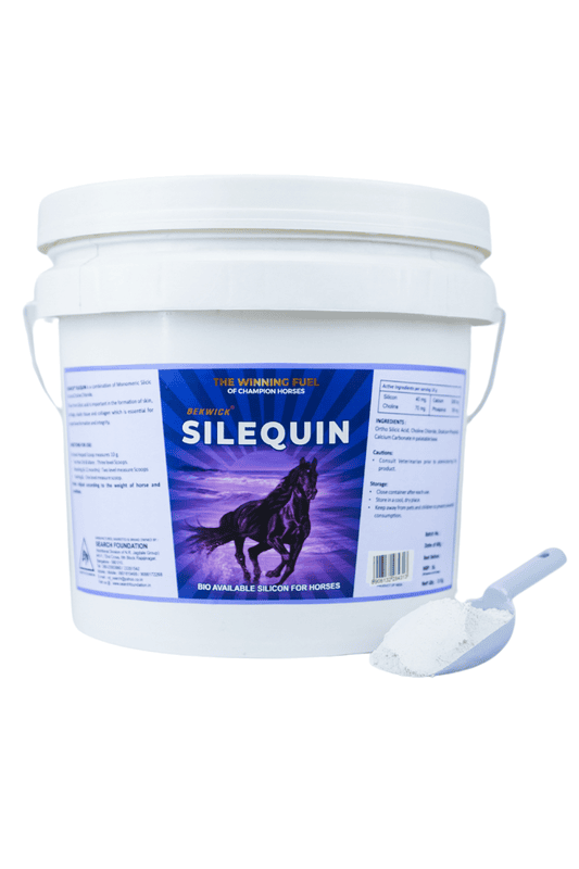 Bekwick Silequin Plus - 10KG