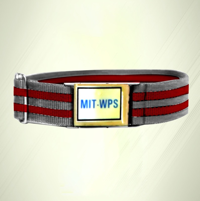 WPS - Formal Belt