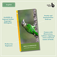 Early Bird Pocket Guides - Bulk Purchase of 50 Early Bird Pocket Guides - Bulk Purchase of 50
