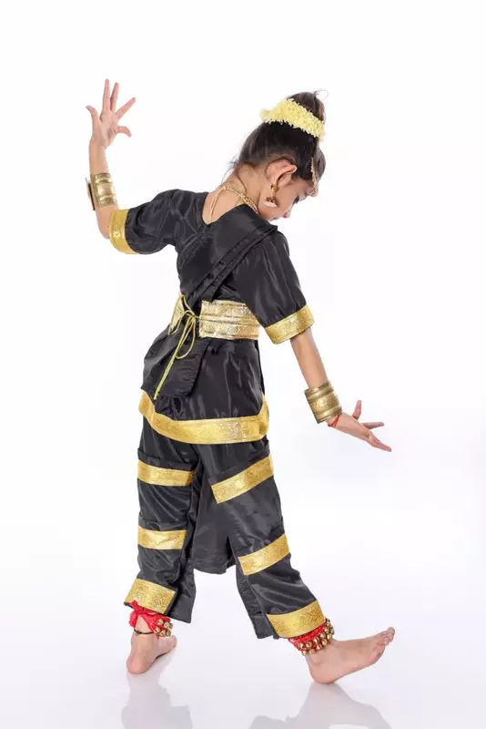 Bharatanatyam Dance Fancy Dress Costume For Girls