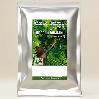 Bhoomi Amla Powder