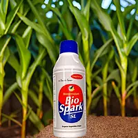 Bio Spark SL by Pasura