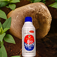 Bio Spark SL by Pasura