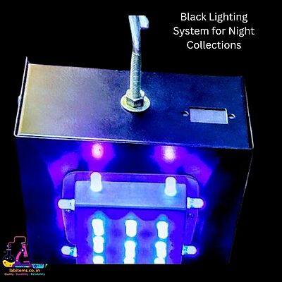 Black Lighting System for Night Collections