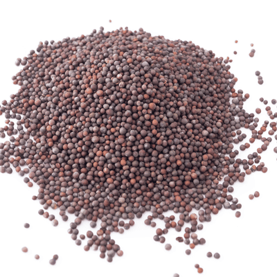 Raaja Masala - Kali Sarson (Black Mustard) Raaja Masala - Kali Sarson (Black Mustard)