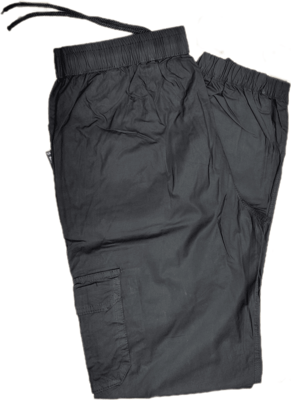 Plain Cargo Pant