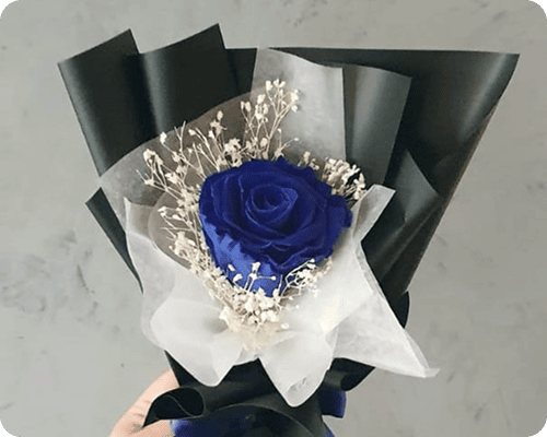 Midnight Elegance (Black & Royal Blue)