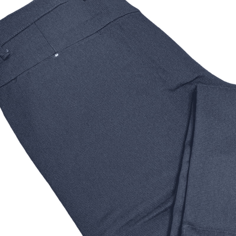 Blue Self Design Pant