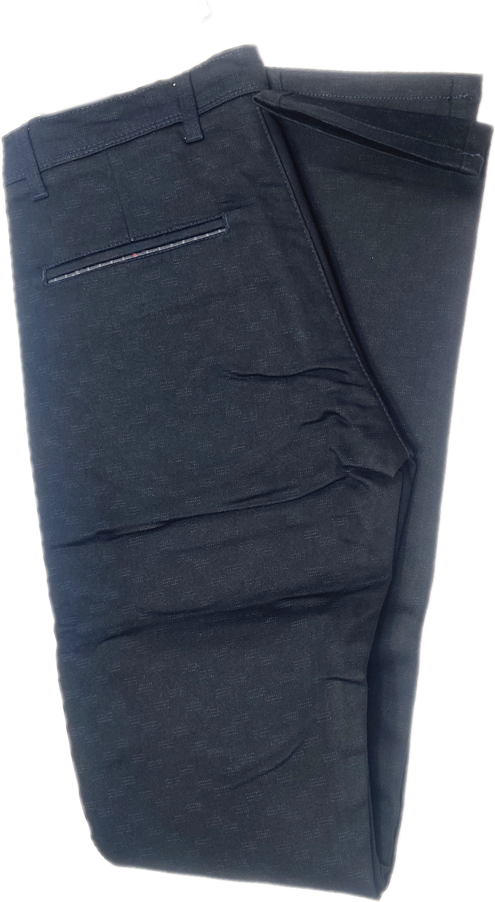 Blue Self Design Pant