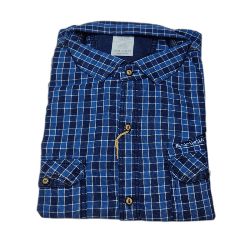 Blue Checks Casual Shirt