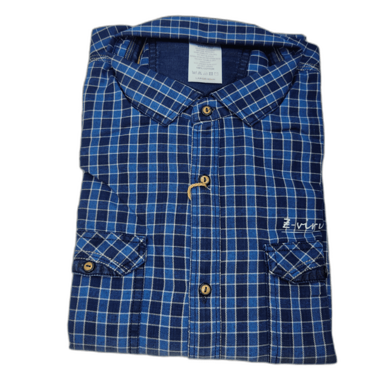 Blue Checks Casual Shirt